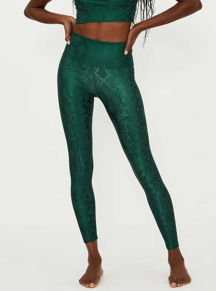 
                      
                        Beach Riot Women's Piper High Waist Faux Leather Leggings - Pine Python Green
                      
                    