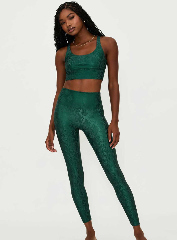 
                  
                    Beach Riot Women's Piper High Waist Faux Leather Leggings - Pine Python Green
                  
                