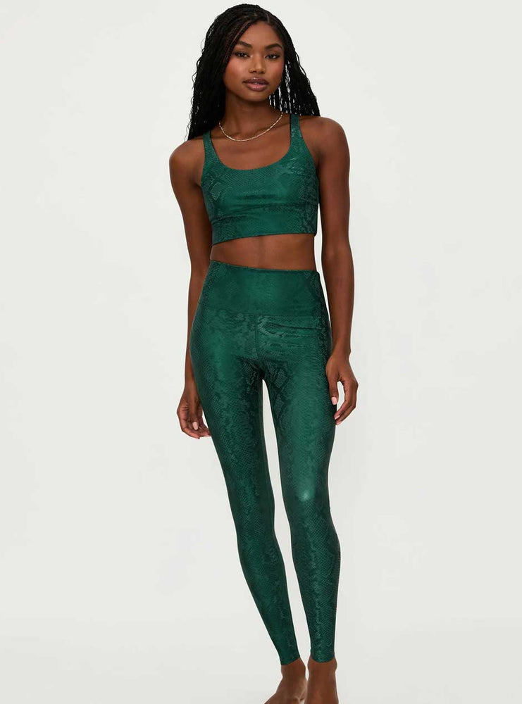 
                  
                    Beach Riot Women's Piper High Waist Faux Leather Leggings - Pine Python Green
                  
                